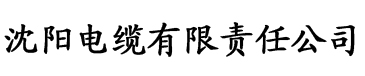 小青楼ios电缆厂logo